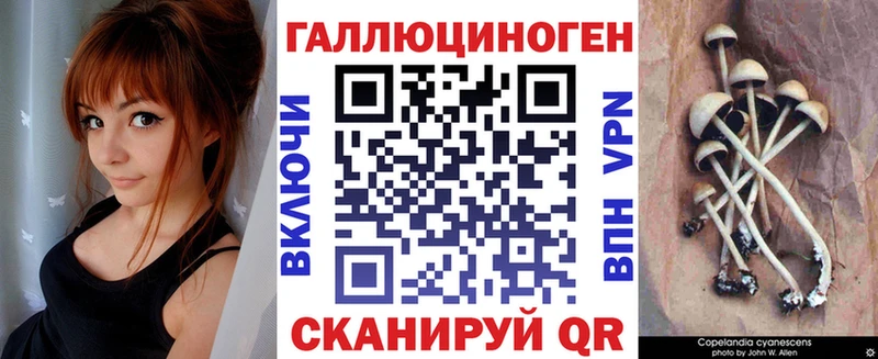 Галлюциногенные грибы Cubensis  Купить закладки  Пенза 